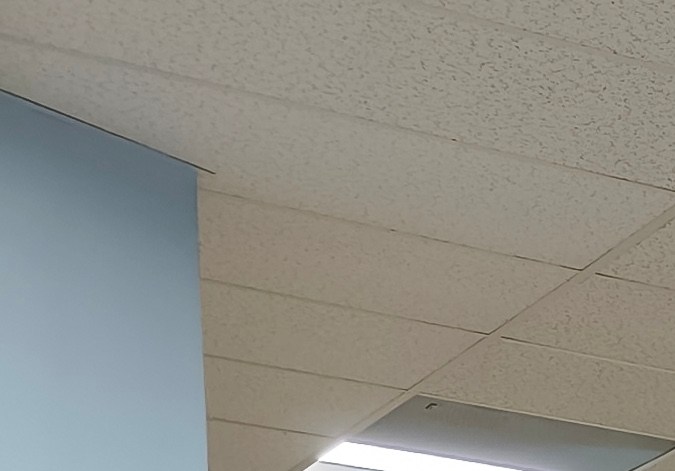 Jeanette Hurt comparte sus secretos para ahorrar en Aldi. Aprende cómo encontrar descuentos en productos frescos y maximizar tu dinero en cada compra.