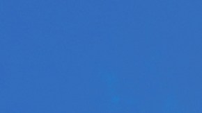 Las ofertas de Trader Joe’s este agosto: Explora productos deliciosos como la mantequilla de maní con miel y hamburguesas de pavo. ¡Excelentes precios!