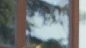 Descubre cuánto dinero necesitas ganar para vivir cómodamente en Estados Unidos y cómo el costo de vida varía según la ubicación geográfica.