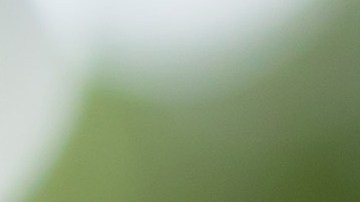 Comodidad y estilo al mejor precio. Las Nike Dunk Low Retro son tu nuevo básico. Aprovecha el descuento del 25% y luce un look deportivo.