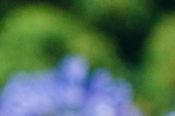 ¿Quieres comprar productos para mascotas desde la comodidad de tu hogar? Compara precios, encuentra ofertas y descubre las mejores tiendas en línea para ahorrar en tus compras.