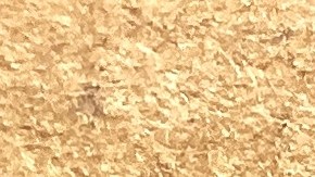 ¿Buscas un regalo especial? Las ofertas relámpago de Amazon te ofrecen una amplia variedad de productos a precios irresistibles.