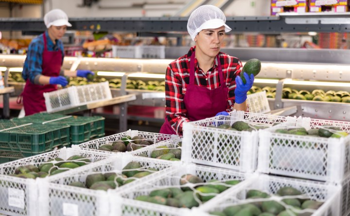 Descubre dónde los revendedores encuentran las mejores ofertas: almacenes secretos en California con productos de marcas reconocidas a precios bajos.