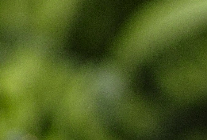 Los bancos de alimentos son una red de solidaridad. Descubre cómo puedes ayudar o beneficiarte de sus servicios. ¡Únete a la comunidad!