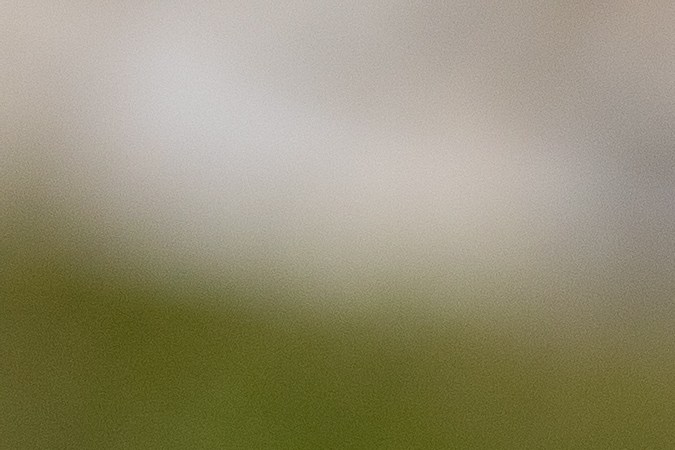 Membresía de Sam´s Club.