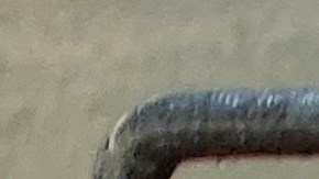 Costco ajusta sus tarifas de membresía en septiembre de 2024. Conoce los nuevos precios y ventajas exclusivas para los miembros Executive.