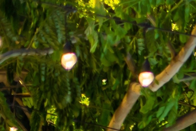 Mercado de las pulgas