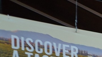 Bangkok,,Thailand,-,Circa,April,,2023:,Assorted,Fruits,On,Display