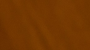 Cadenas de comida rápida