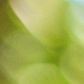 Ahorra dinero al comprar un iPhone eligiendo modelos con menor capacidad de almacenamiento. Conoce más sobre esta y otras opciones para obtener el mejor precio.