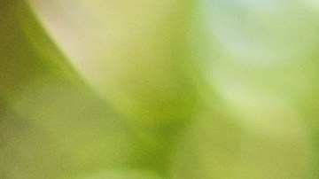 Ahorra dinero al comprar un iPhone eligiendo modelos con menor capacidad de almacenamiento. Conoce más sobre esta y otras opciones para obtener el mejor precio.