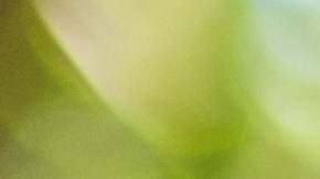 Ahorra dinero al comprar un iPhone eligiendo modelos con menor capacidad de almacenamiento. Conoce más sobre esta y otras opciones para obtener el mejor precio.