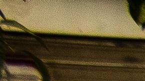 Mercado de las pulgas