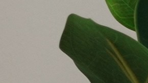 Ahorra en grande con nuestra guía completa para encontrar ofertas increíbles. Aprende a utilizar cupones, códigos de descuento y más.