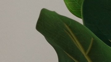 Ahorra en grande con nuestra guía completa para encontrar ofertas increíbles. Aprende a utilizar cupones, códigos de descuento y más.