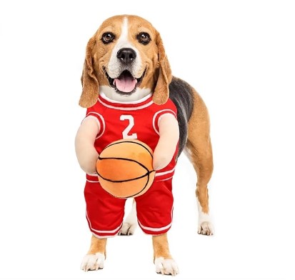 Tu mascota lucirá como un verdadero jugador de baloncesto este Halloween 2024. Disfraz cómodo y atractivo con pelota incluida. ¡Compra ahora con un ahorro del 22%!