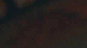 La famosa cena de Acción de Gracias de Target 2024 tiene el mejor precio del año. Calidad y tradición en una comida lista para servir.