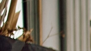 Aldi lanza su canasta especial de Acción de Gracias con precios preinflacionarios. Conoce cómo se compara con Walmart y ahorra en tu cena.