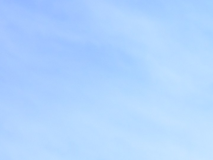 Planifica tu cena navideña en Macy's. Aquí te contamos cómo aplicar y las fechas de reserva para disfrutar de una velada mágica en Chicago.