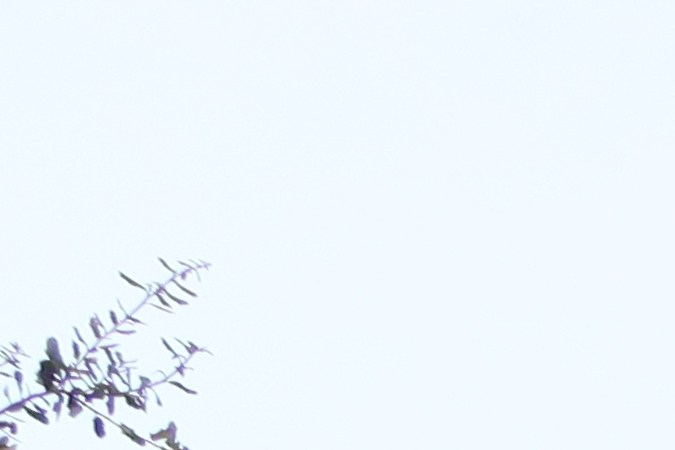 El futuro de Gulfport cambia: Winn-Dixie cierra y Aldi llega. Aprovecha los descuentos del 50% en la tienda antes de que cierre.