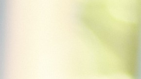 SNAP, TEFAP y más: Todos los programas de asistencia alimentaria para personas mayores