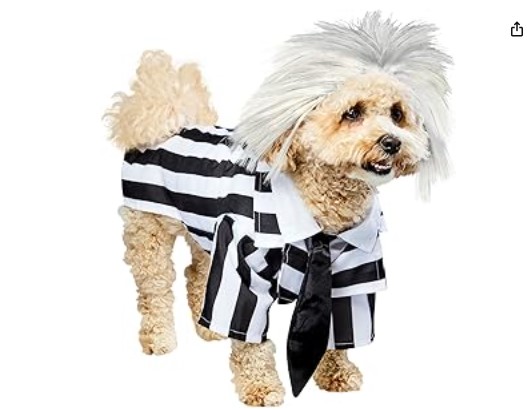 El disfraz de Beetlejuice para perro es un éxito garantizado este Halloween. Calidad Rubie's con un diseño clásico, disponible con descuento exclusivo del 17%.