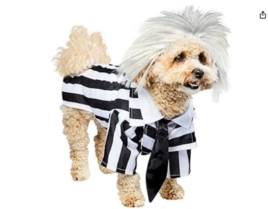 El disfraz de Beetlejuice para perro es un éxito garantizado este Halloween. Calidad Rubie's con un diseño clásico, disponible con descuento exclusivo del 17%.
