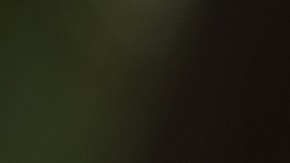 Viste a tu perro con los disfraces más populares de Halloween 2024. Disfraces deportivos y temáticos que harán que tu mascota sea la estrella de la fiesta. ¡Ahorra con nuestras ofertas!