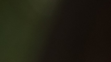 Viste a tu perro con los disfraces más populares de Halloween 2024. Disfraces deportivos y temáticos que harán que tu mascota sea la estrella de la fiesta. ¡Ahorra con nuestras ofertas!