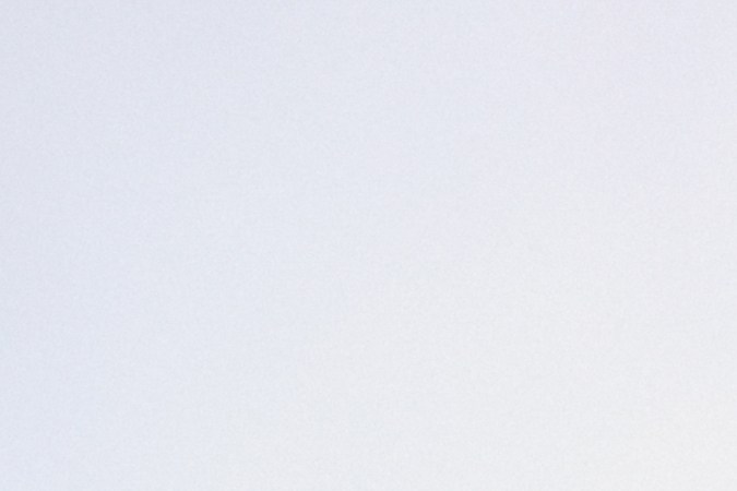 ¿Cómo conseguir un árbol de Navidad gratis? Aquí te contamos sobre programas benéficos y requisitos clave.