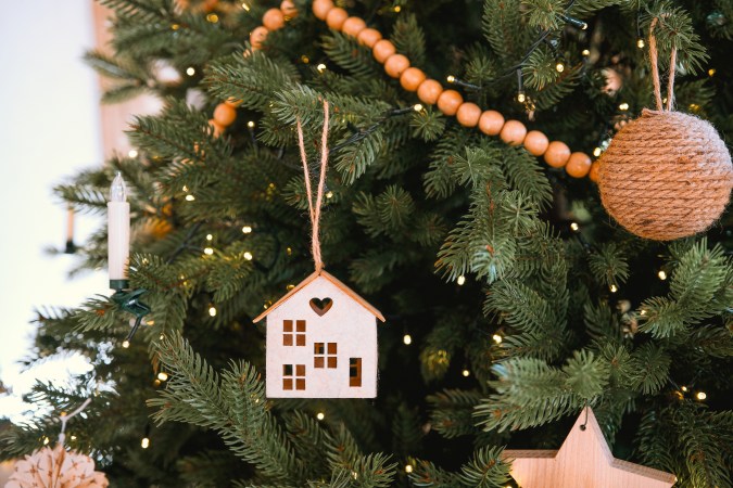 ¿Cómo conseguir un árbol de Navidad gratis? Aquí te contamos sobre programas benéficos y requisitos clave.