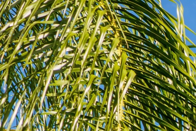 Ahorra en grande este Black Friday 2024 con las ofertas anticipadas de Best Buy: tecnología, gadgets y electrodomésticos al mejor precio.