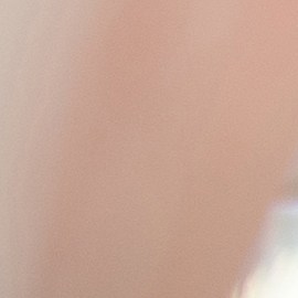 Este Black Friday 2024, tiendas como Walmart y Amazon ofrecen descuentos especiales para inmigrantes. Encuentra productos a precios más bajos.