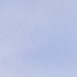 Regalos únicos de Chipotle para esta Navidad. Desde jabones de cilantro hasta velas virales, disponibles desde $10 USD