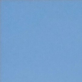 ¿Quieres ahorrar en tus compras? Aquí te mostramos seis productos que es mejor evitar en Costco, donde podrás encontrarlos más baratos en otros lugares.