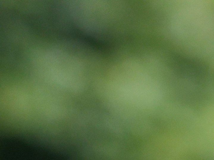 Aprovecha las mejores ofertas del Día de los Veteranos 2024: comidas gratis, descuentos en tiendas y más beneficios para militares en EE.UU.