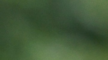 Aprovecha las mejores ofertas del Día de los Veteranos 2024: comidas gratis, descuentos en tiendas y más beneficios para militares en EE.UU.