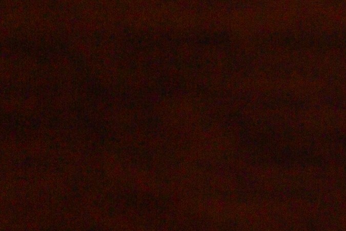 Descuentos por cierre: Family Dollar liquida productos esenciales con rebajas de hasta el 30%. Aprovecha antes del cierre definitivo.