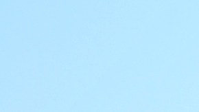 Descuentos en Family Dollar: Obtenga hasta un 30% en productos básicos antes del cierre de sucursales. ¡Última oportunidad para ahorrar!