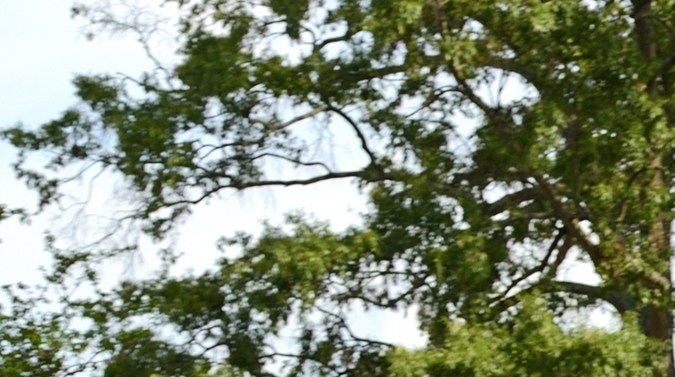 Con empresas Fortune 500 y una baja tasa de desempleo, Greenville es la mejor ciudad para latinos en Estados Unidos.