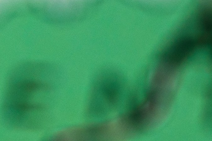 Greenville ofrece empleo, estabilidad económica y un bajo costo de vida. ¡Descubre por qué es la mejor opción para latinos en USA!