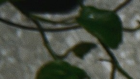 Ahorra en grande con Hotels.com: hasta un 30% en tu alojamiento y vuelos. Benefíciate de ofertas de último minuto y descuentos exclusivos para miembros.