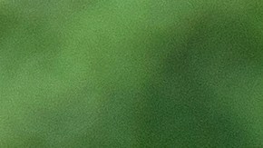 La Nintendo Switch Lite es la consola portátil ideal. Con esta oferta de Walmart, podrás llevar tus aventuras contigo a todas partes por solo $169.