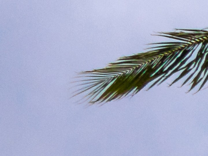 Reserva en los mejores resorts del Caribe para 2024-2025 con descuentos hasta del 65 %, créditos de resort y noches gratis. ¡Aprovecha el Cyber Monday!