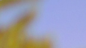 Samsung lanza rebajas del 52% para el Black Friday 2024. Renueva tus gadgets con ofertas en monitores, tablets y electrodomésticos.