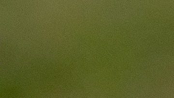 Este Día de Acción de Gracias, ahorra tiempo y dinero con la cena de $10 por persona en Sam's Club. Lista en menos de 3 horas.