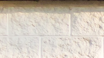 Ofertas navideñas en Target 2024: descuentos diarios y promociones exclusivas para miembros de Target Circle. ¡Comienza a ahorrar desde ya!