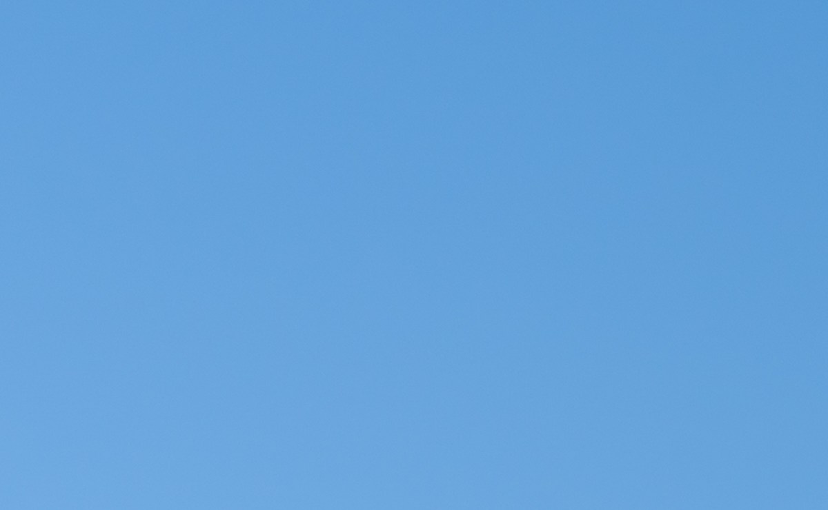 Productos que puedes conseguir en Walmart por menos de $50 - No Muy Caro