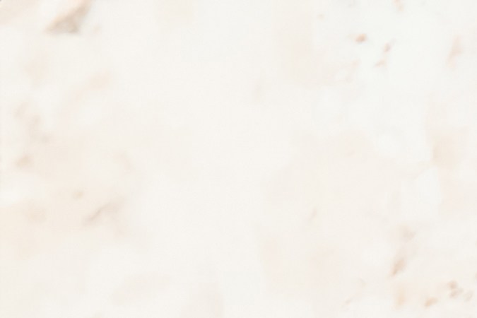 Haz realidad una Navidad especial con estas organizaciones que ofrecen árboles gratuitos y decoraciones en EE.UU. ¡Conoce más!