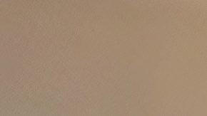 Conoce las organizaciones que entregan árboles de Navidad gratis en Estados Unidos. ¡Obtén el tuyo siguiendo estos pasos!